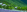 - Placeholder
