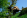 - Placeholder