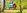 Acorn Glade - Placeholder