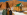 - Placeholder