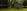 - Placeholder