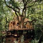 Our Favourite Glamping Sites - UK 2021