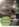 - Placeholder