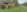 - Placeholder