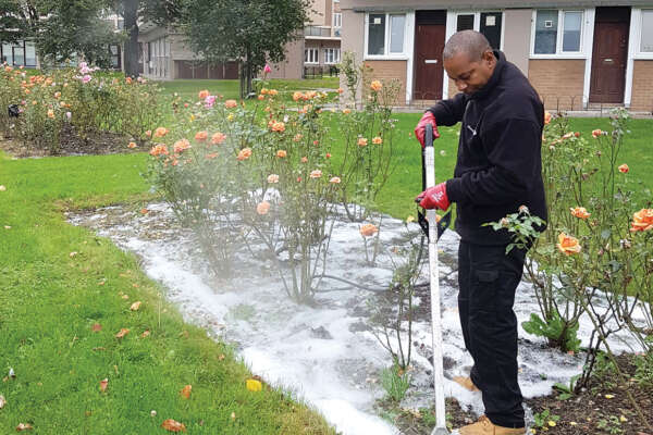Foamstream: Redefining non-herbicidal weed control