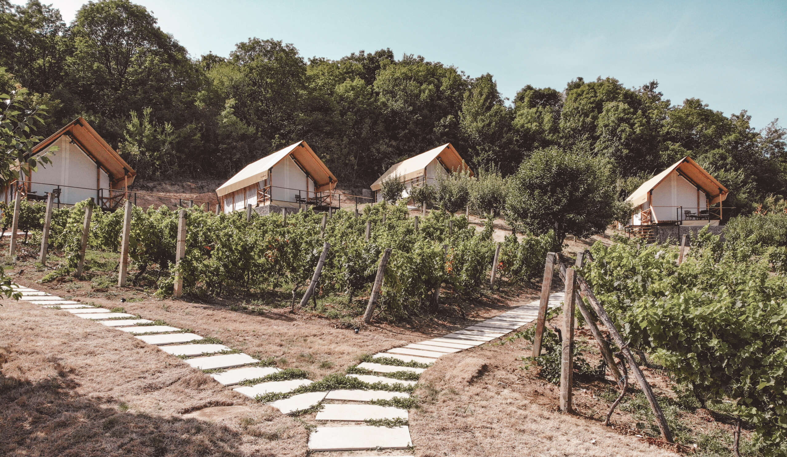 Lala Vineyard