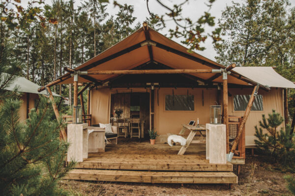 Glamping Innovations: The Ultimate Family Safari Tent