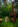 - Placeholder