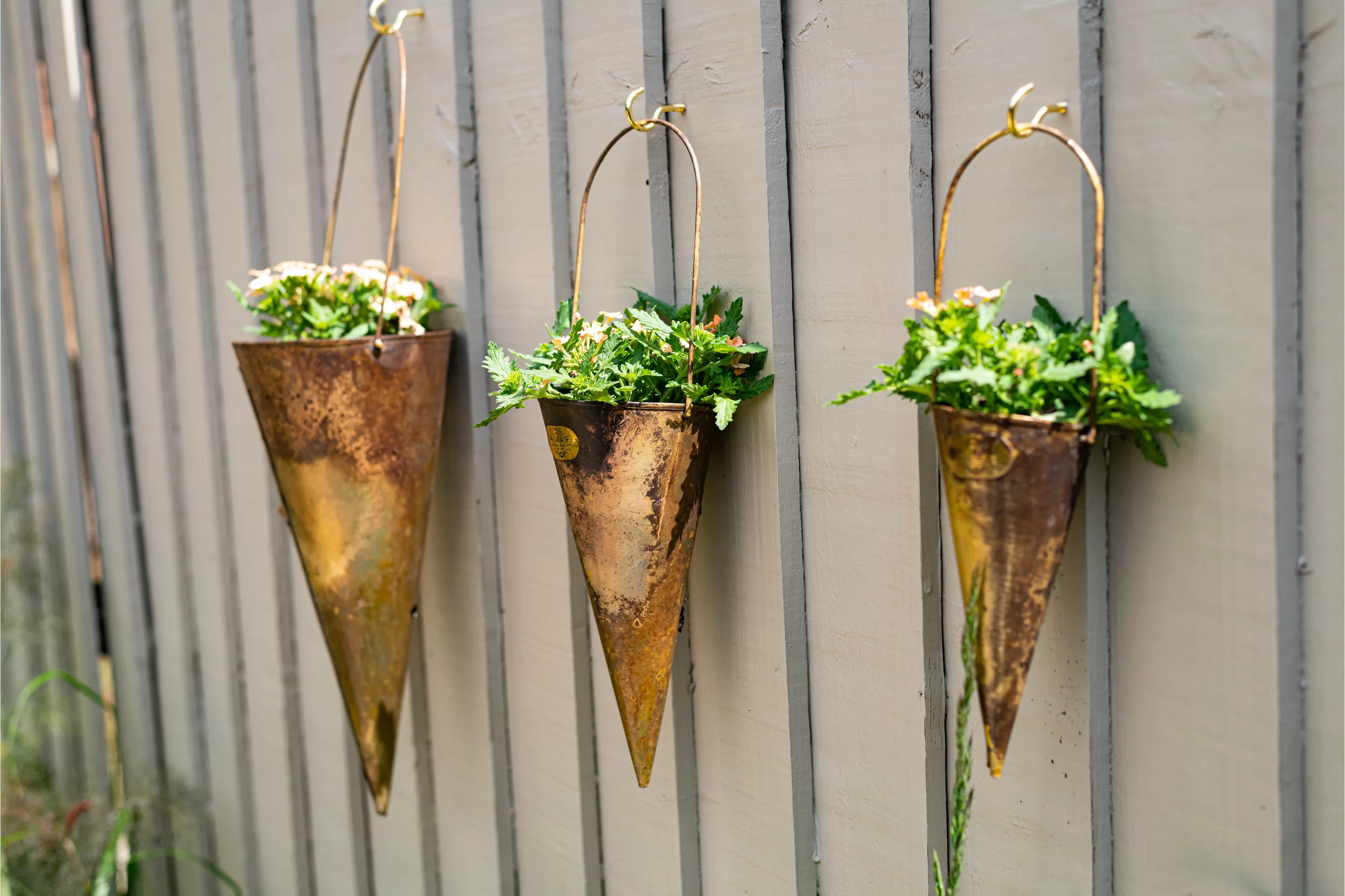 Aaru 3 Piece Metal Wall Planter Set, Wayfair