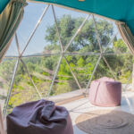 TruDomes